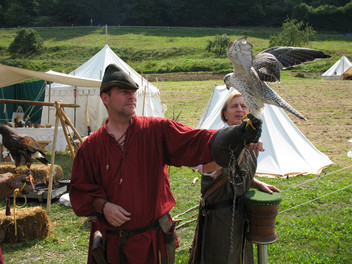 Ein Falkner auf dem Mittelalterfest