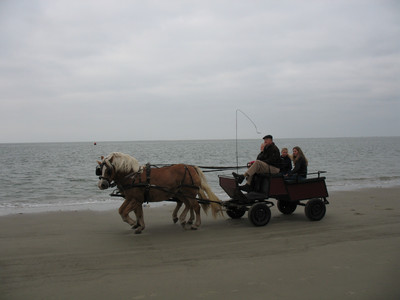 Pferdewagen am Strand